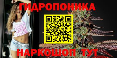 стаф Шелехов