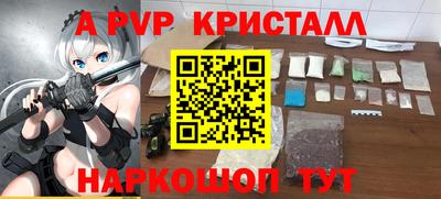стаф Шелехов